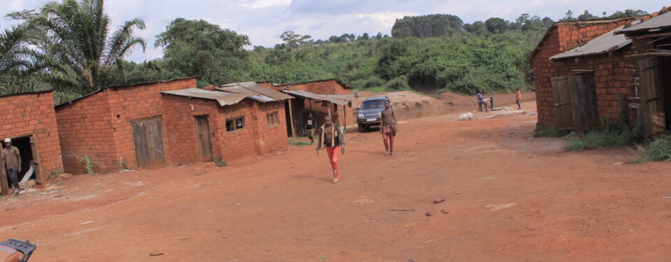 Evaluation des impacts environnementaux et sociaux pour la construction du pont de Malagarazi entre Kilelema (Tanzanie) et Buhema (Burundi), District de Buhigwe – Kigoma.